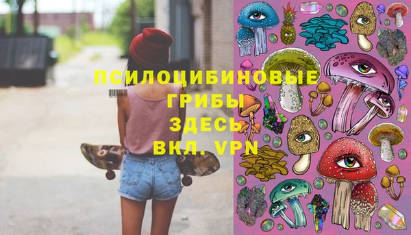 ПСИЛОЦИБИНОВЫЕ ГРИБЫ Куйбышев