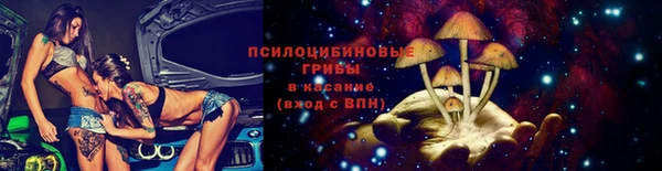 ПСИЛОЦИБИНОВЫЕ ГРИБЫ Куйбышев