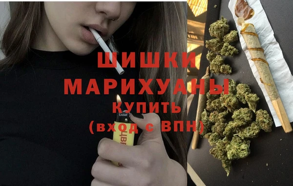 ПСИЛОЦИБИНОВЫЕ ГРИБЫ Куйбышев