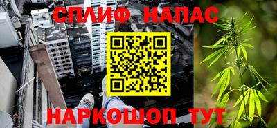 шишки Ирбит