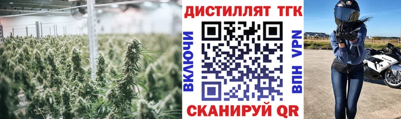 хочу   Балтийск  ТГК Wax 