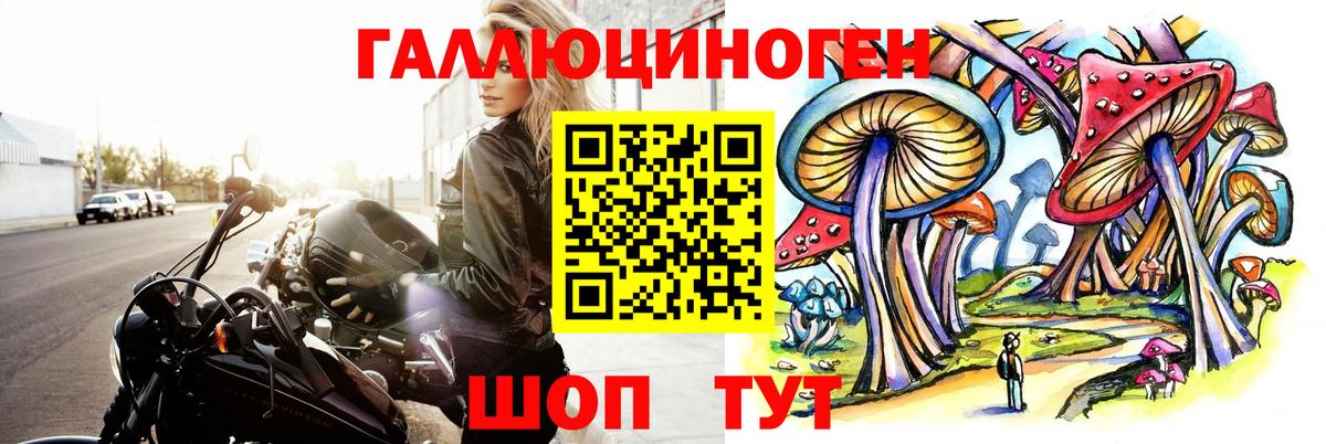 Галлюциногенные грибы мухоморы Балтийск